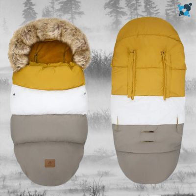 Chanceliere┃Nanuq™