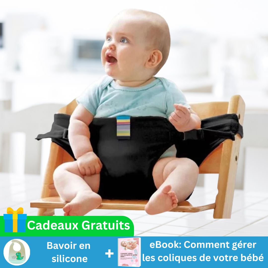 FLYSEAT™ | CEINTURE DE SÉCURITÉ DE CHAISE POUR BÉBÉ